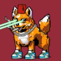 DogePunks #4834