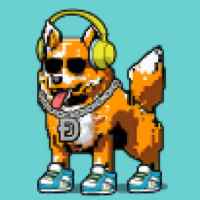DogePunks #2455