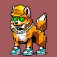 DogePunks #3497