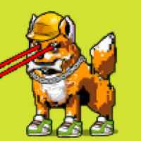 DogePunks #797