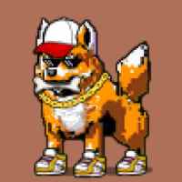 DogePunks #2581