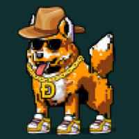 DogePunks #2307