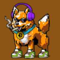 DogePunks #961