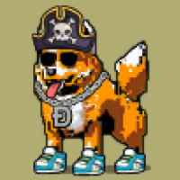 DogePunks #870