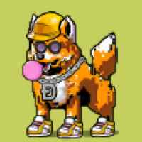 DogePunks #760