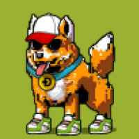 DogePunks #3801