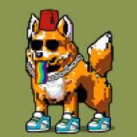 DogePunks #4802