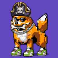 DogePunks #1360