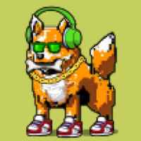 DogePunks #2312