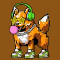 DogePunks #861
