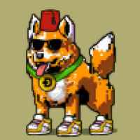DogePunks #3882