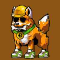 DogePunks #244