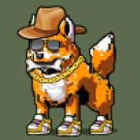 DogePunks #3294