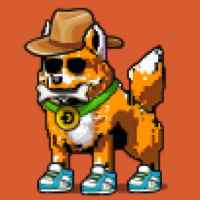 DogePunks #95