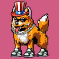 DogePunks #2823