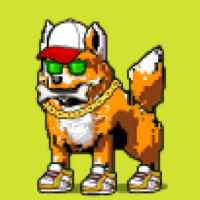 DogePunks #2460