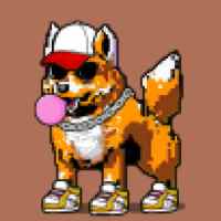 DogePunks #1462