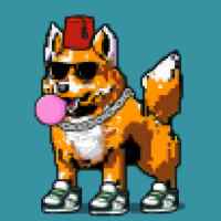 DogePunks #135