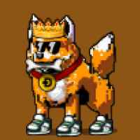 DogePunks #2840