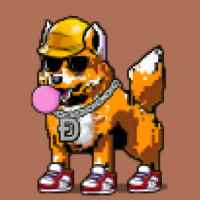 DogePunks #877