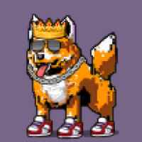 DogePunks #4872