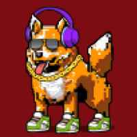 DogePunks #1206