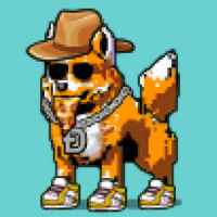 DogePunks #3106
