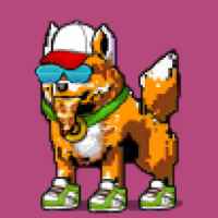 DogePunks #3341