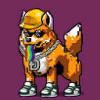 DogePunks #206