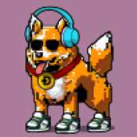DogePunks #173