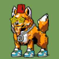 DogePunks #2376