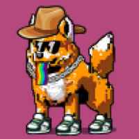 DogePunks #3588