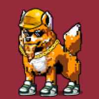 DogePunks #2223