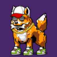 DogePunks #3034