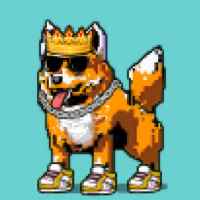 DogePunks #1060