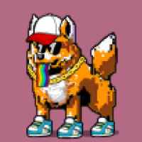 DogePunks #3012
