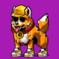 DogePunks #3008
