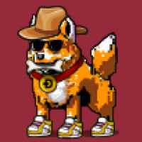 DogePunks #4565