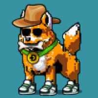 DogePunks #1829