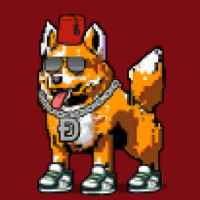 DogePunks #965