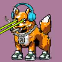 DogePunks #4848