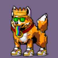 DogePunks #3582