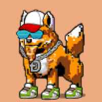 DogePunks #3038