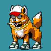 DogePunks #2883