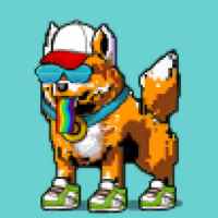 DogePunks #4970