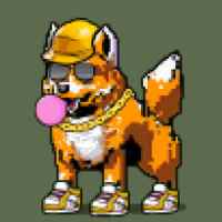 DogePunks #3011