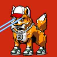 DogePunks #1692