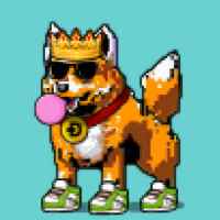 DogePunks #4689