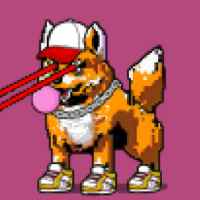 DogePunks #3340
