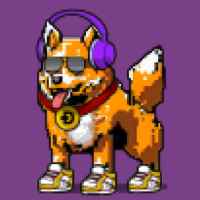 DogePunks #2846